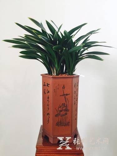 3月6日,兰花展将在张雄书画院美术馆举办 3月6日,兰花展将在张雄书画院美术馆举办