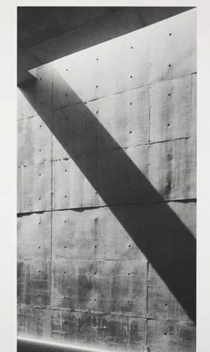 安藤忠雄铂金作品展|三影堂+3画廊(厦门) 