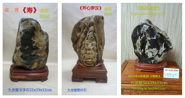 漳州市芗城区亿年天工奇石馆林土明馆长收藏奇石