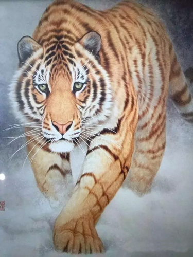 郭金栋作品 郭金栋作品