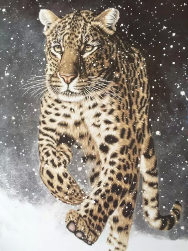 郭金栋作品 郭金栋作品